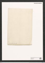 Amphora decussta Grun. (de-Toni-Nr.: Genus 36, Species 1513) Zeichnungen Sammlung Grunow (NHMW-BOT-W0370278)